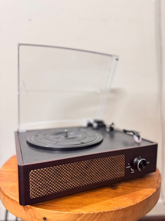 Functional Turntable with Bluetooth