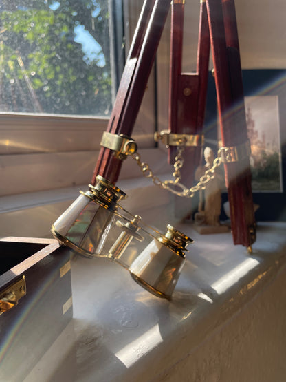 Pocket Sized Opera Glasses Binoculars with Extendable Handle